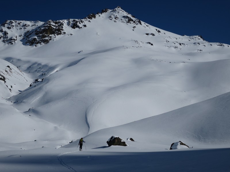 Ski touring Fox Pk - Roundhill